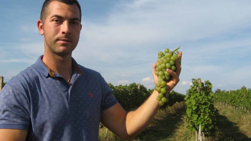 Inženjer nemetala staje na crtu srpskim vinarima sa - malagom!