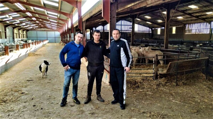 Pomaknuli granice ovčarstva u Hrvatskoj: Imamo ovce najboljih genetskih linija u regiji!