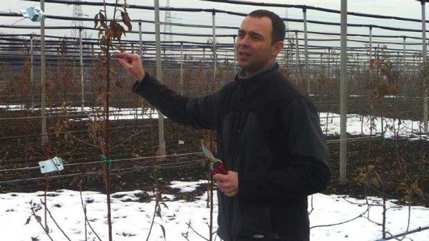 Državo - ulaži u voćarstvo!