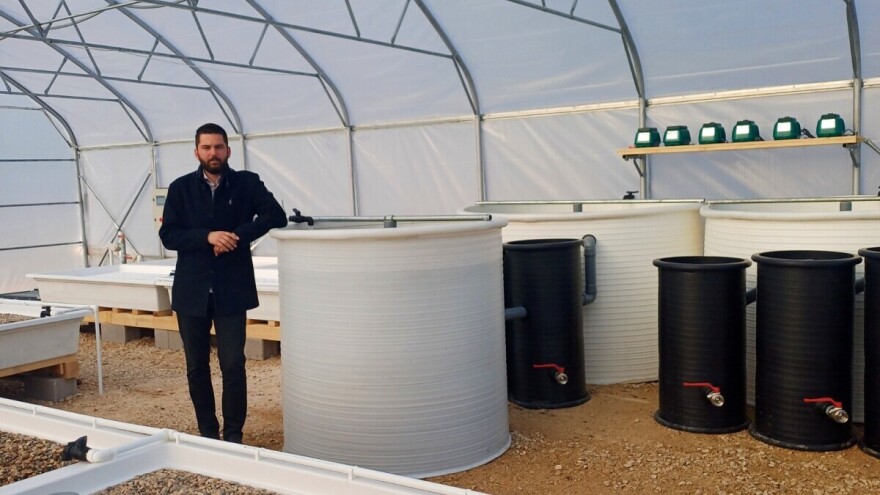 Ribe u plasteniku? O, da! Stvaraju odličnu hranu za gajene kulture