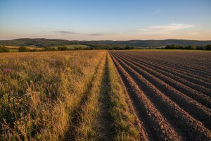 Neobrađeno preko 38 posto poljoprivrednog zemljišta