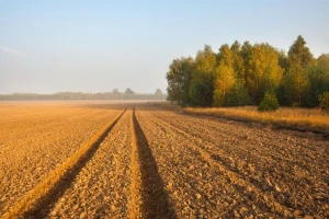 U BiH neobrađeno milion hektara oranica!
