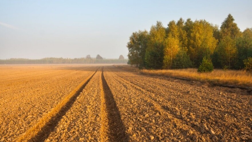 U BiH neobrađeno milion hektara oranica!