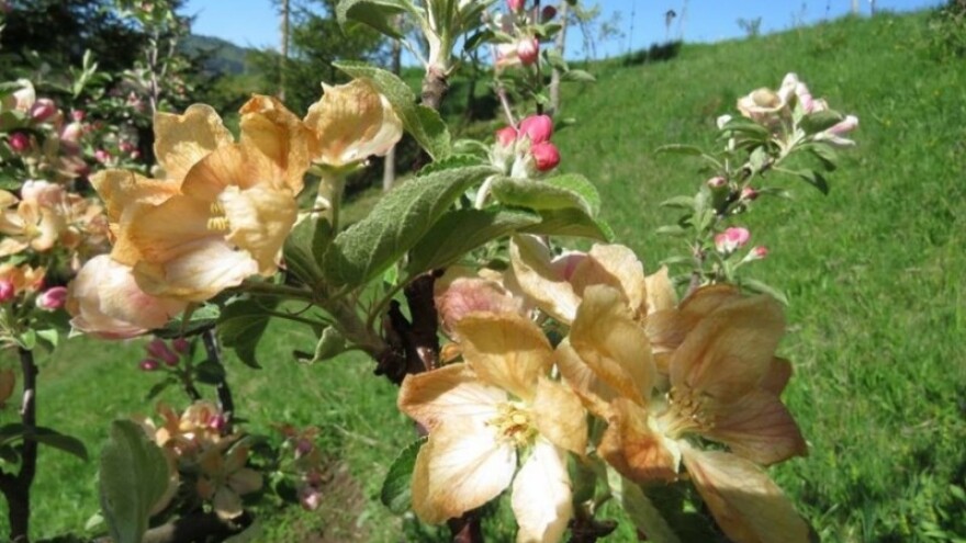 Županije pozivaju na prijavu šteta!