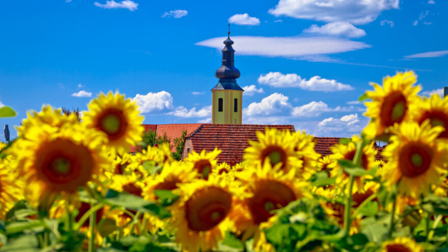50 tisuća eura za pokretanje nepoljoprivredne djelatnosti