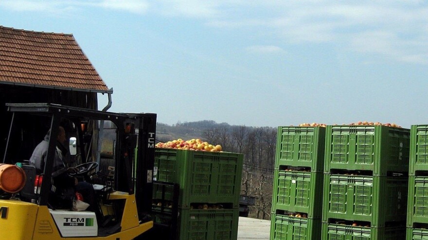Cena jabuke najniža u poslednjih 13 godina