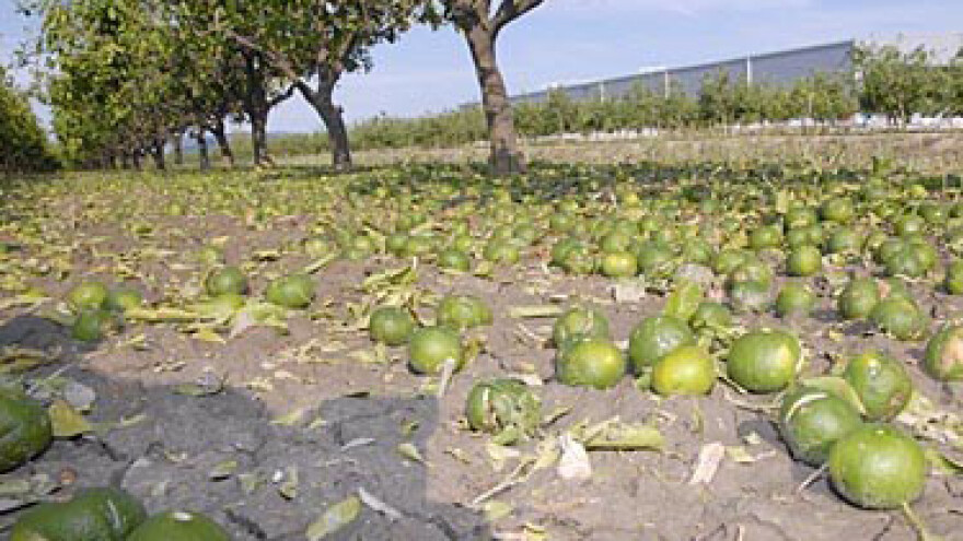 Tri milijuna kuna za štete u dolini Neretve