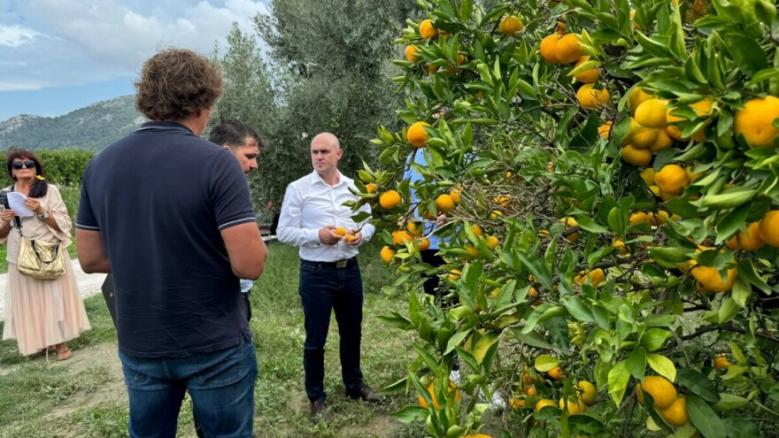 Dabro posjetio proizvođače mandarina, dolina Neretve dobiva Centar za agrume