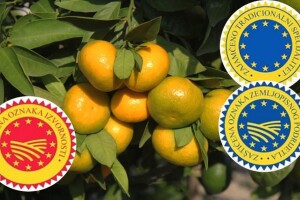 Mala EU škola - što su zaštićeni proizvodi