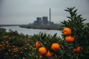 Neretvanski prosvjed: NE termoelektrani na ugljen!