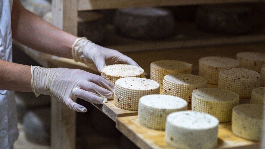 Nermin Omanović: Trudimo se da cijena mlijeka bude što bolja, a isplata redovna