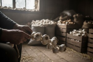 Nervoza na tržištu češnjaka