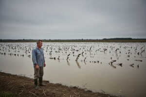 Nesagledive štete od poplava