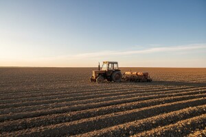 Nestašica goriva zaustavila sjetvu pšenice