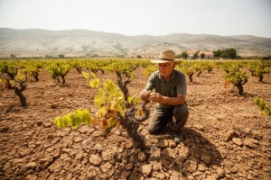 Nestašica vode u Zagori ugrožava život usporavajući i razvoj agroturizma