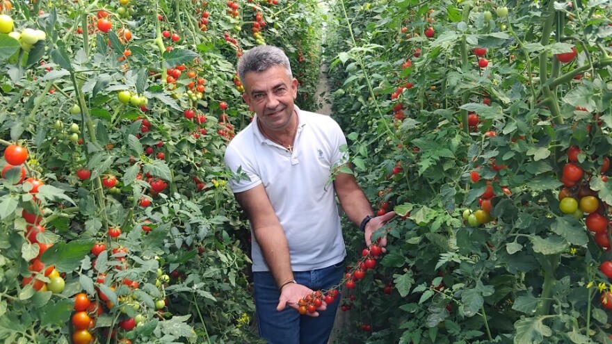 Uzgoj šerija na organski način? Nevenko Granolić je dokazao da se - može!