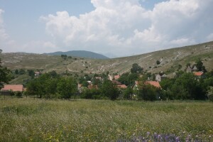 Hoće li nevesinjska najveća porodična zadruga i najteža gljiva ući u Guinnessovu knjigu rekorda?