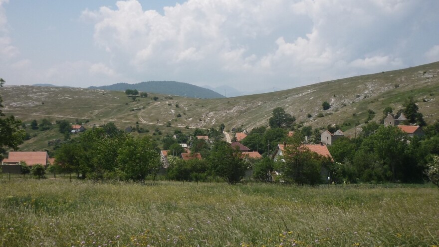 Hoće li nevesinjska najveća porodična zadruga i najteža gljiva ući u Guinnessovu knjigu rekorda?