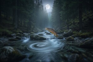 Nevjerojatni um Viktora Schaubergera