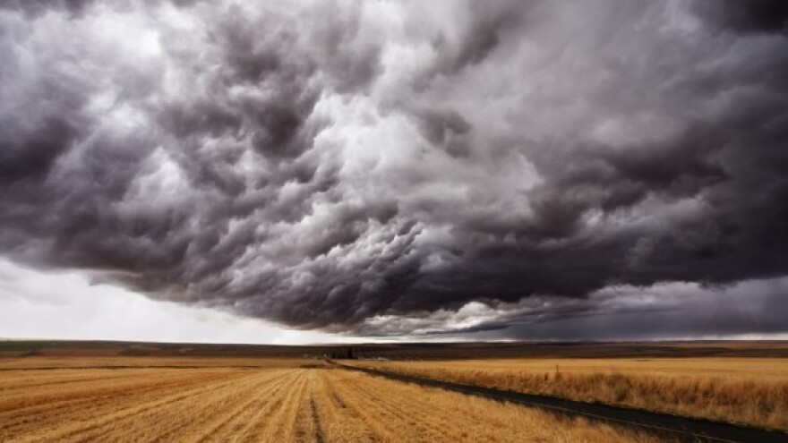 Procena šteta u poljoprivredi još traje