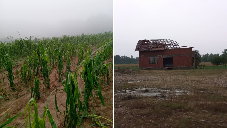 Velike posljedice nevremena: Led stukao kukuruz, uništeni plastenici, otkrivene kuće