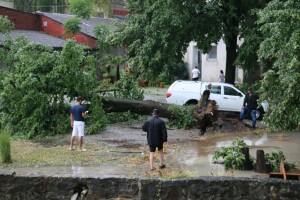Tuča poharala vinograde, pšenicu i kukuruz!