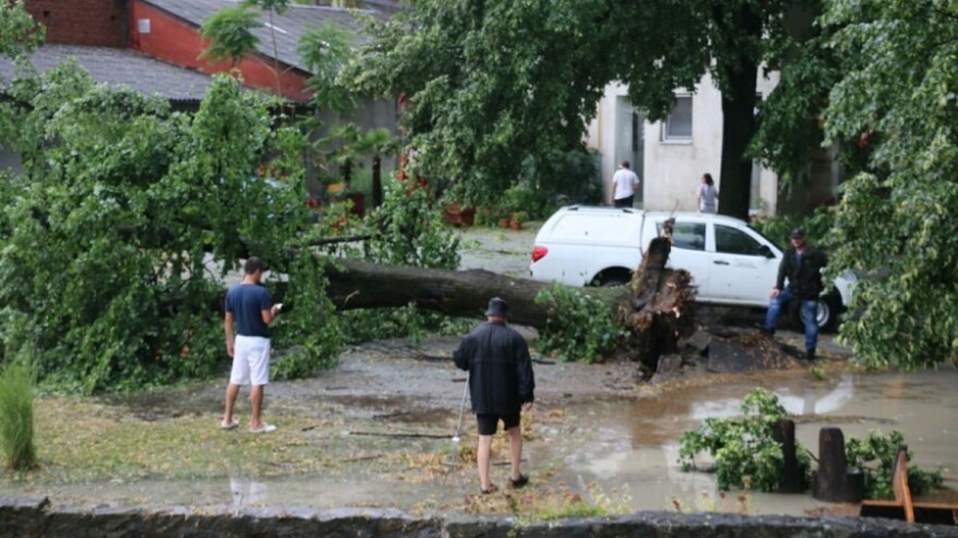 Tuča poharala vinograde, pšenicu i kukuruz!