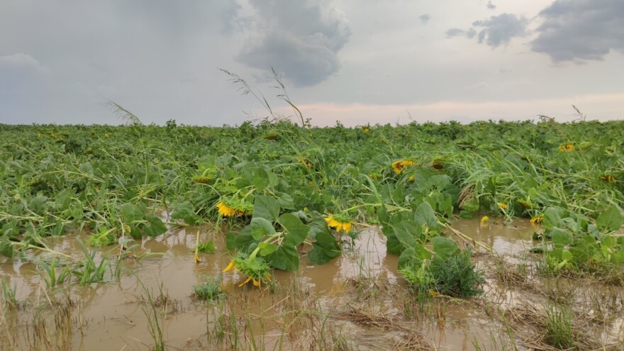 Povećan iznos potpore za osiguranje usjeva, životinja i biljaka