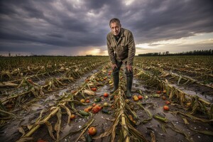 Nevrijeme uzelo danak, ništa od žitarica i povrća?