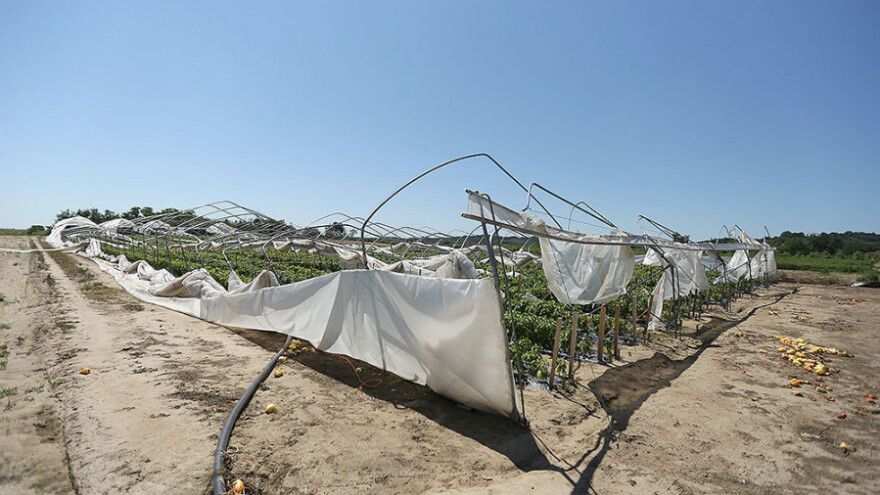 Šteta od tuče 32,8 milijuna kuna!