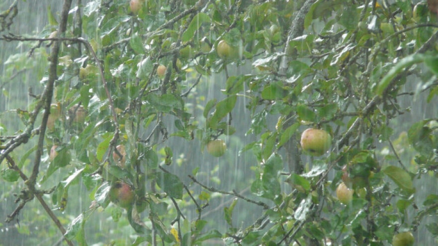 Prvo grad u Žepču, a onda i u Unsko-sanskom kantonu