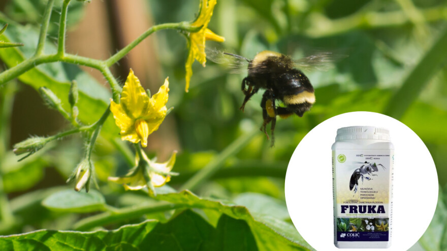 Nova tehnologija prirodne oplodnje - veća kvaliteta peludi i više plodova!