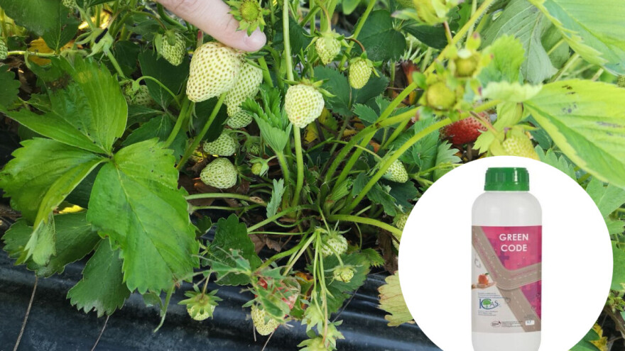 Biološkim proizvodima spasite biljke od iznimno loših vremenskih uvjeta