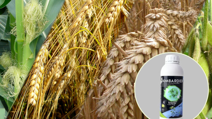 Zapanjujući rezultati primjene biostimulatora treće generacije u Agrobitu na 4.000 ha