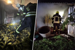 U požaru uginulo više komada peradi, proširio se i na spremište kukuruza