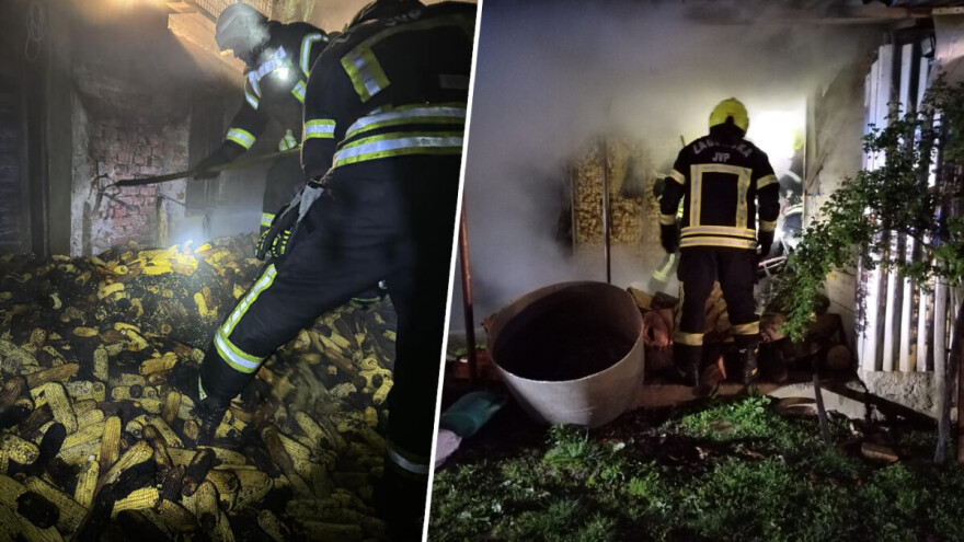 U požaru uginulo više komada peradi, proširio se i na spremište kukuruza