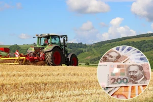 Vrijednost poljoprivredne proizvodnje lani porasla za 5,2 posto!