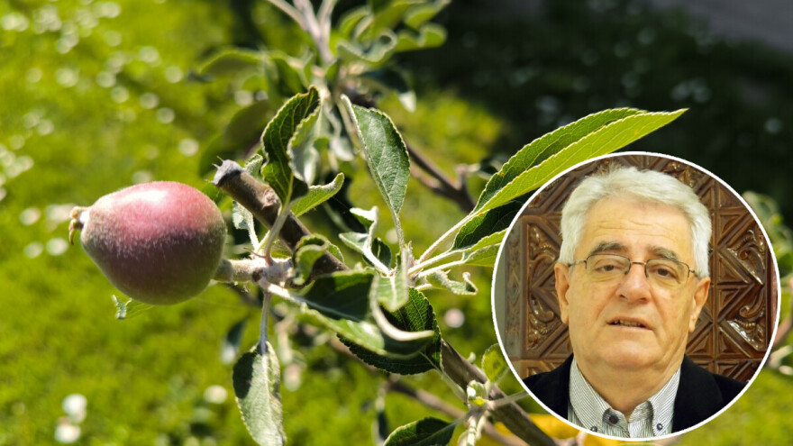 Ratarima pogoduje vrijeme, a voćari i vinogradari zaštitu nek planiraju za vikend