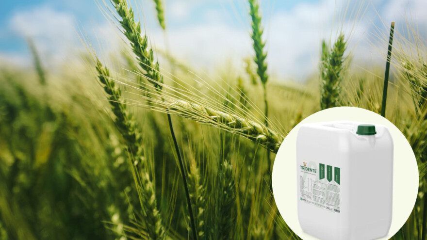 Kako opskrbiti biljke u ekološkoj proizvodnji nakon obilnih kiša?