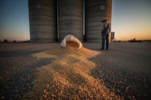 Nezadovoljni poljoprivrednici prosuli pšenicu