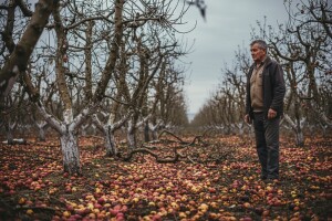 Nezadovoljsto isplaćenih šteta od tuče