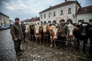 Nezadovoljstvo raspodjelom državnog zemljišta