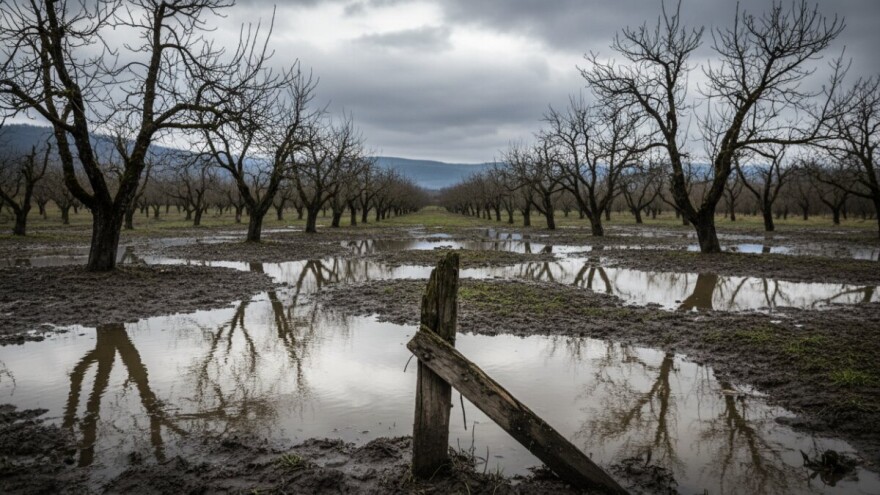 Nezakonite dodjele bespovratnih poticaja