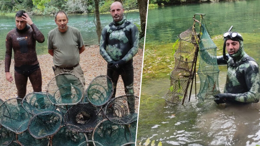 Čisteći Cetinu pronašli 26 vrša namijenjenih za krivolov jegulje