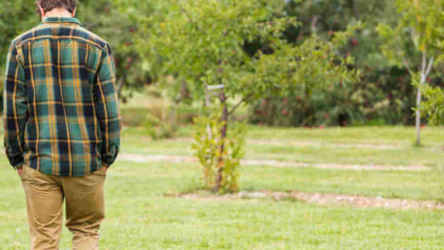 Velika nezaposlenost poljoprivrednih inženjera