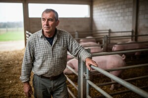 Neznanom junaku koji će spasiti svinjogojstvo