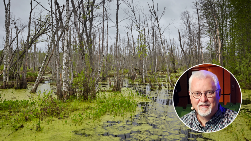 Kako se istovremeno suprotstaviti ruskoj pretnji i klimatskim promenama?