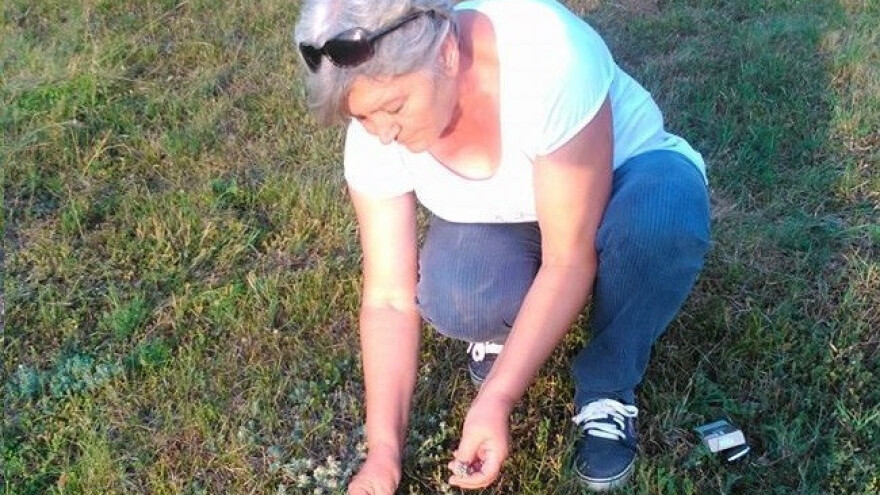 U Nihadinom vrtu za svaki organ biljka postoji!