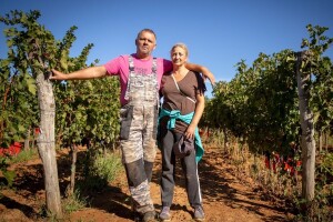 Davor Vivoda: Vinarstvo je profitabilno, ali uspjeh ne dolazi brzo niti lako