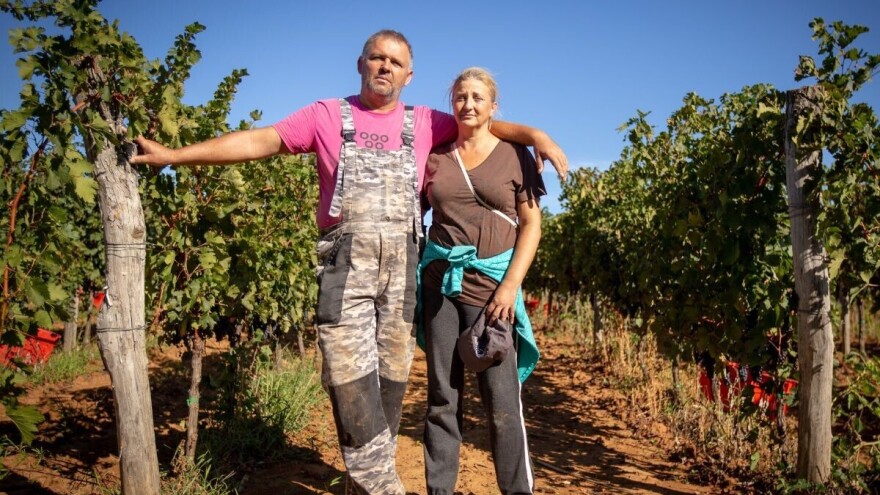 Davor Vivoda: Vinarstvo je profitabilno, ali uspjeh ne dolazi brzo niti lako